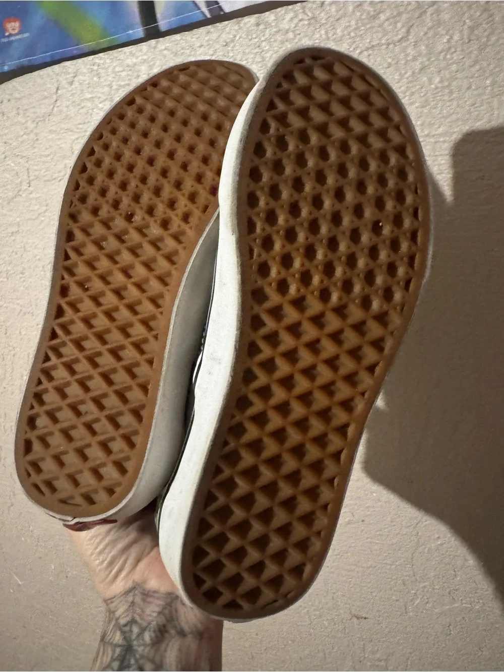 Vans great used